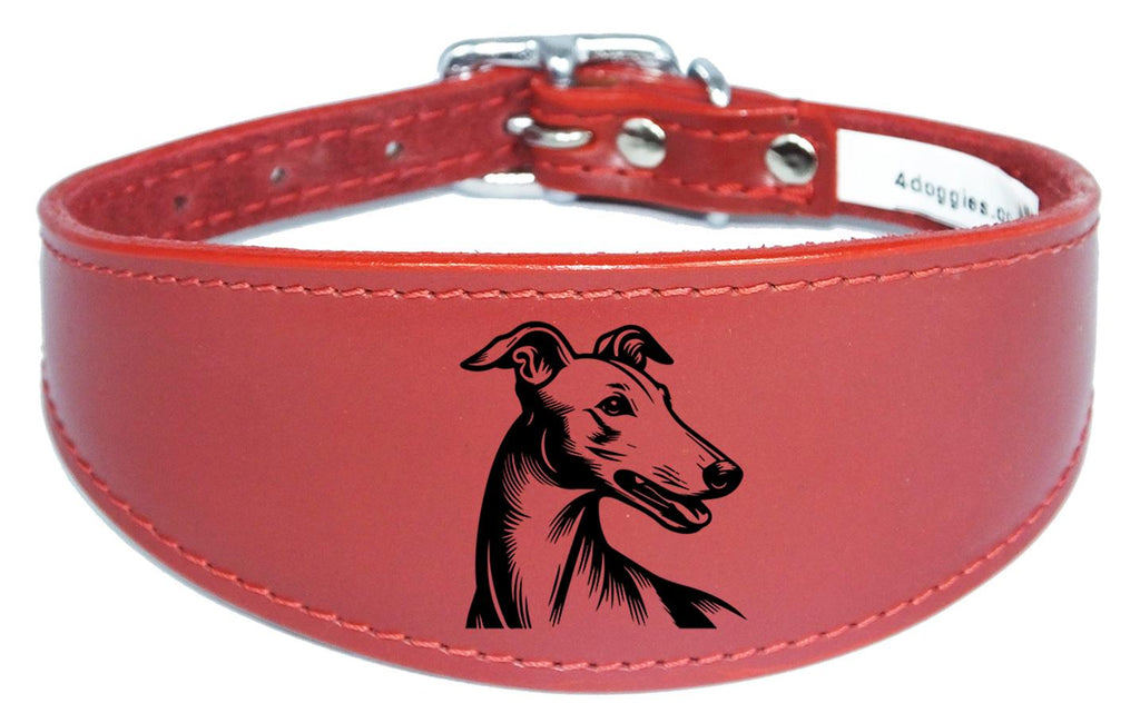 Sighthound Padded Leather Whippet Greyhound Luxury Collar NL 23