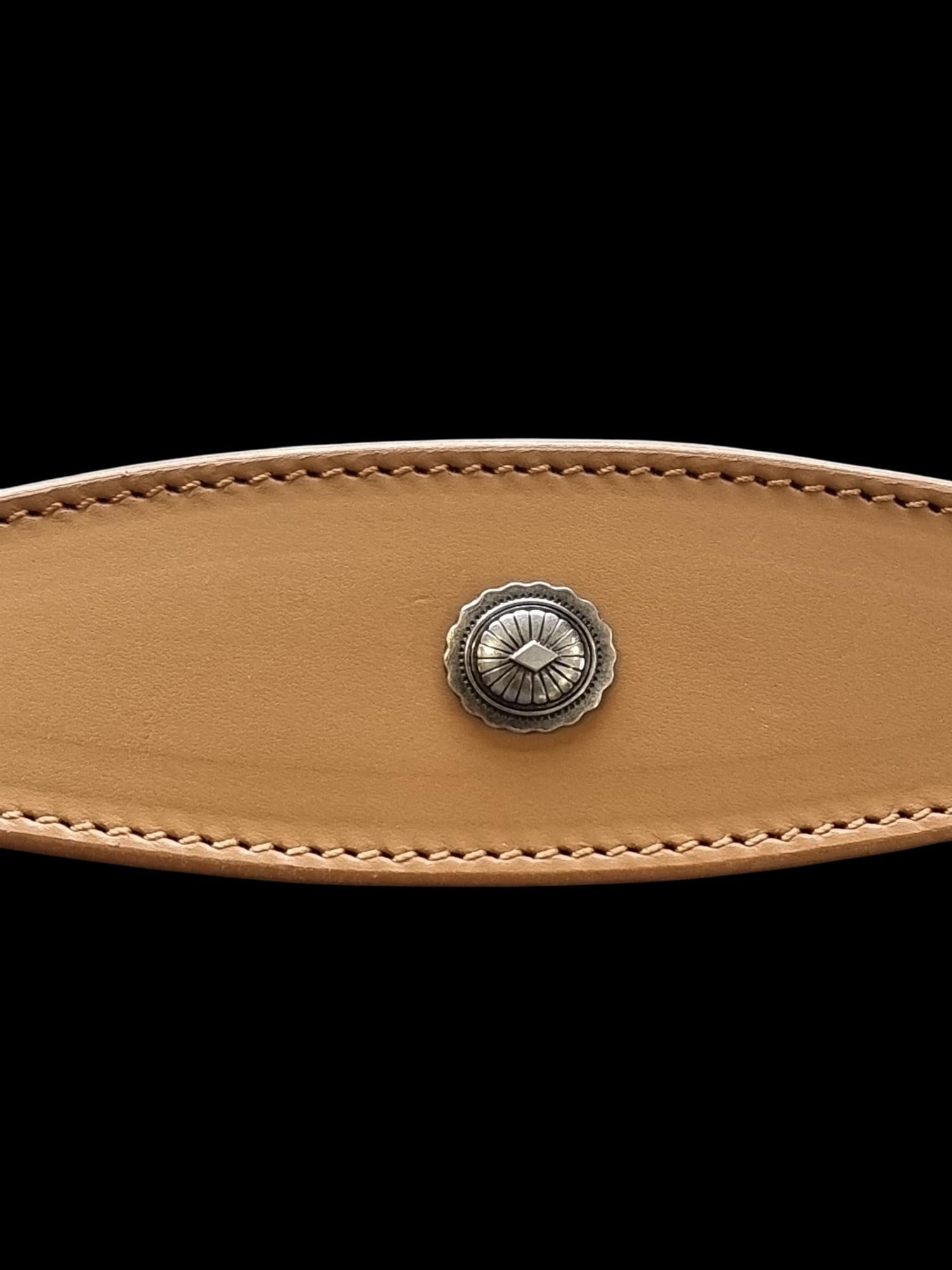 Leather Collar For Whippet Greyhound Lurcher Decorative Stud Design DS 2