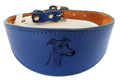 Wide Leather Collar For Greyhound Whippet Sighthound NL 33