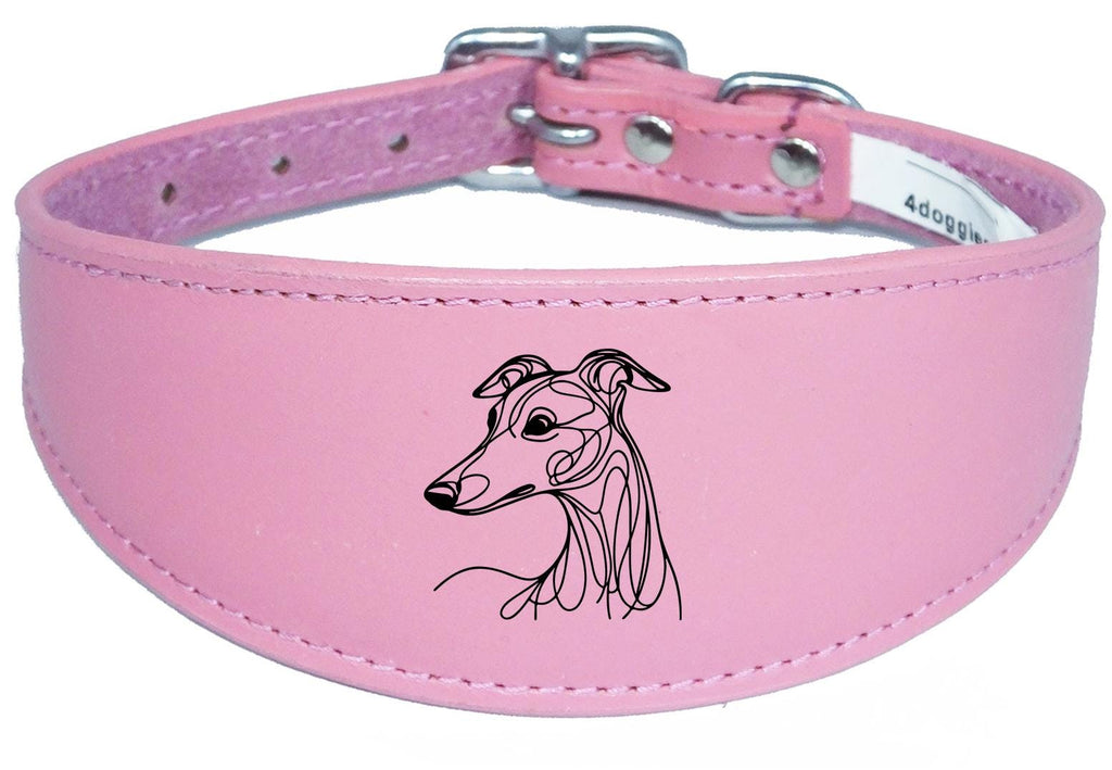 Padded Leather Collar Iggy Greyhound Whippet Sighthound NL 30