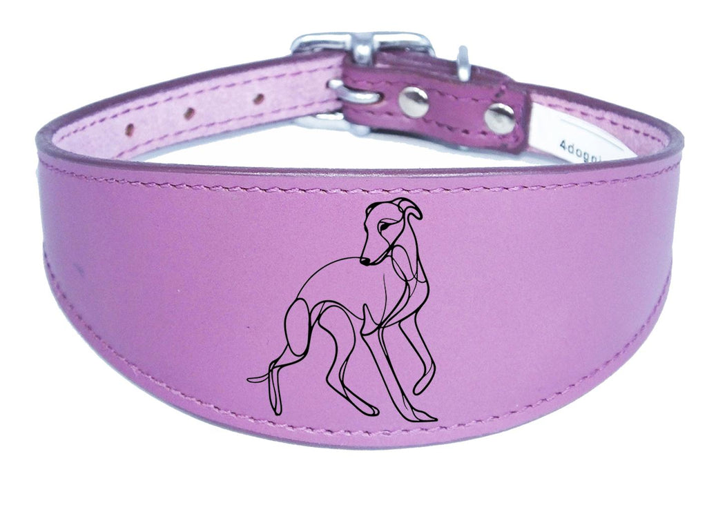 Whippet Sighthound Collar Luxury Padded Leather Handmade in the UK NL 18
