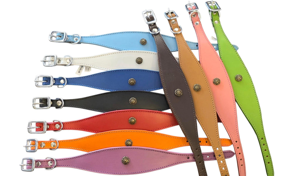 Leather Collar For Sighthound Whippet Greyhound Lurcher Decorative Stud Design DS9