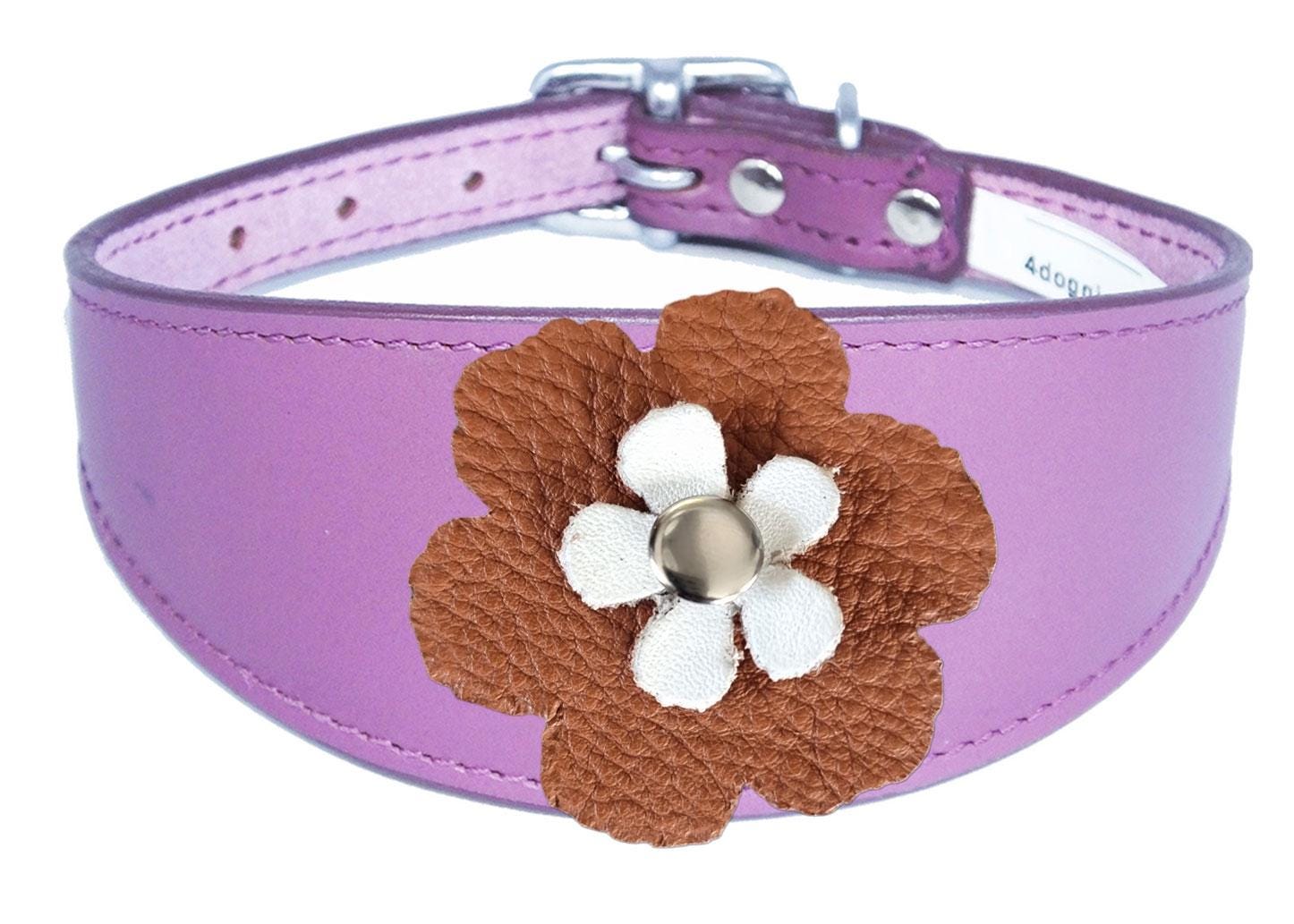 Sighthound Whippet Greyhound Lurcher Decorative Flower Design Leather Collar FD3-7