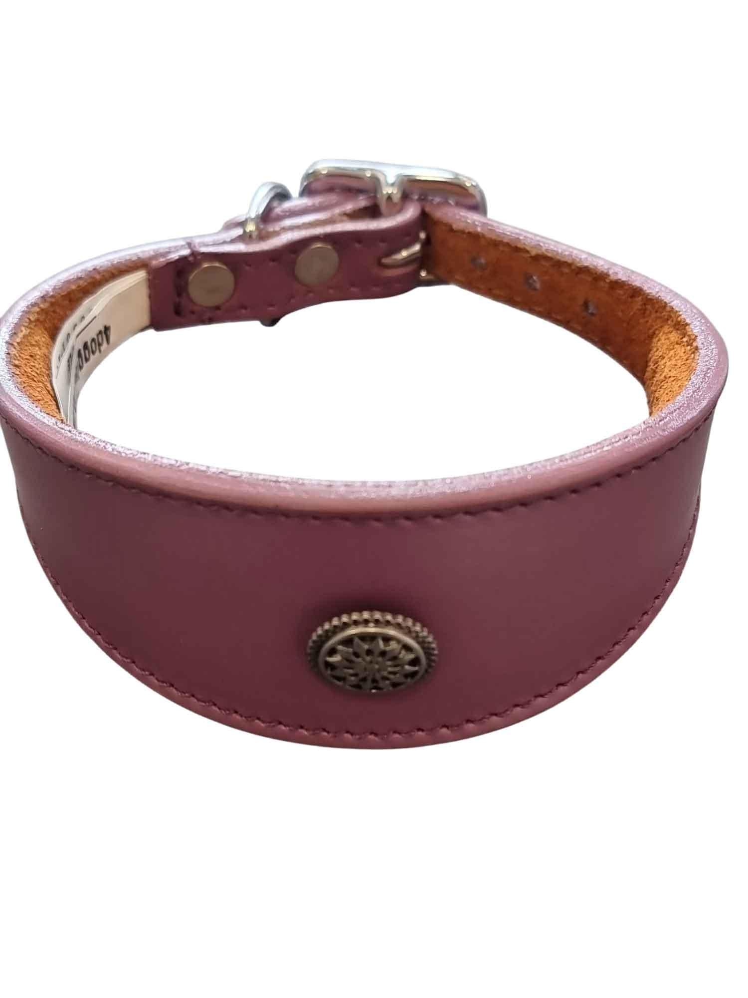 Leather Collar For Whippet Greyhound Lurcher Decorative Stud Design DS 3