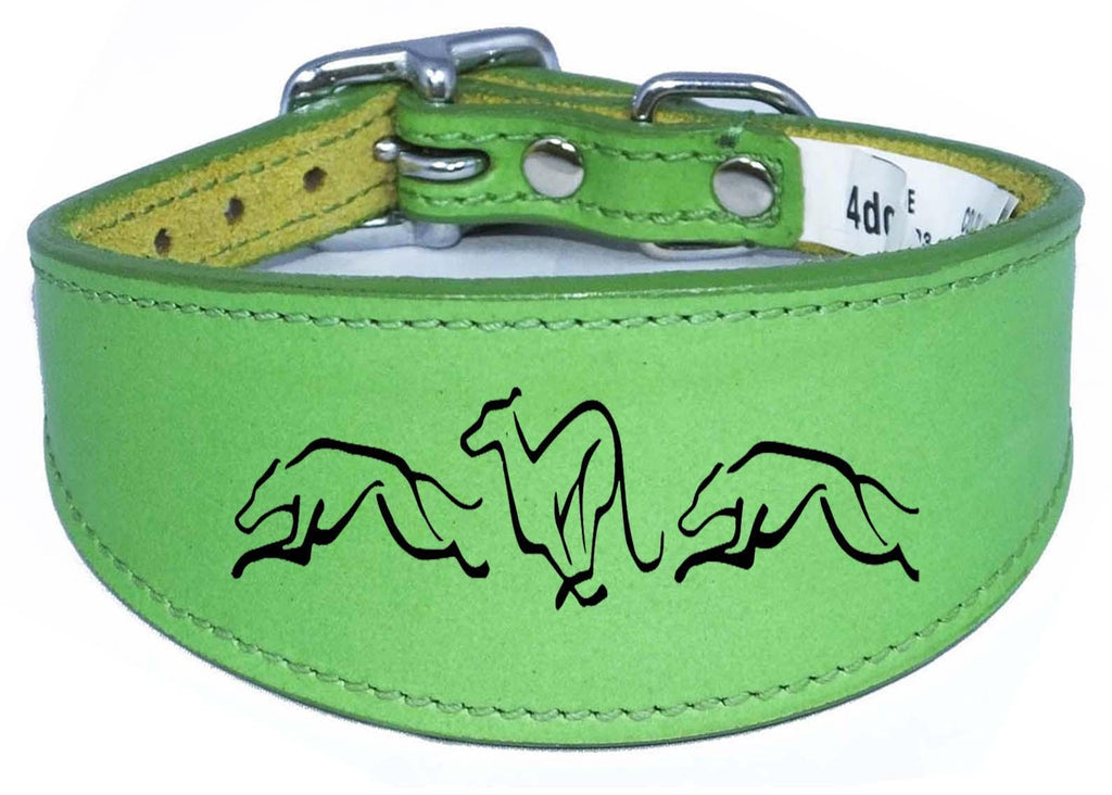 Dog Collar Leather Greyhound Collar Whippet Collar Padded Backing Engraved Running Hound