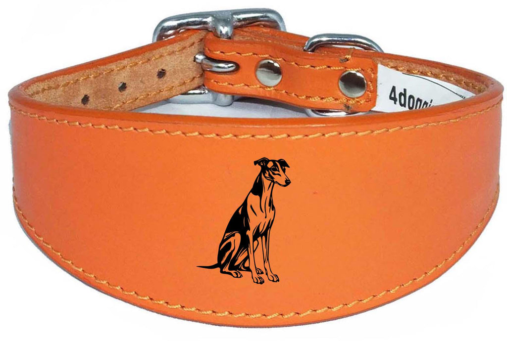Luxury Whippet Greyhound Sighthound Padded Leather Collar NL 26
