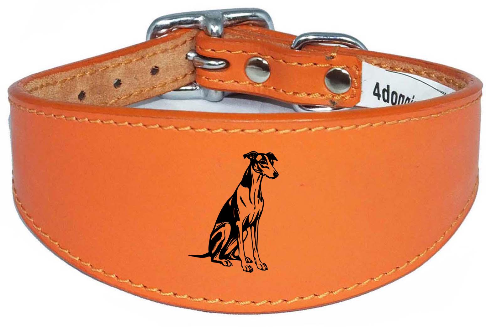 Luxury Whippet Greyhound Sighthound Padded Leather Collar NL 26