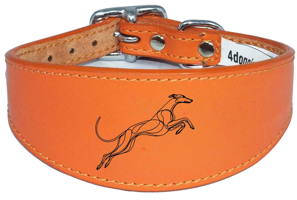 Sighthound Whippet Collar Luxury Padded Leather Handmade in the UK NL 19