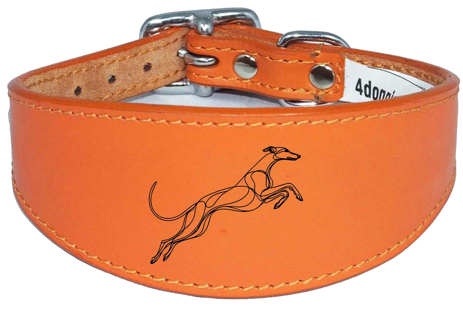 Sighthound Whippet Collar Luxury Padded Leather Handmade in the UK NL 19