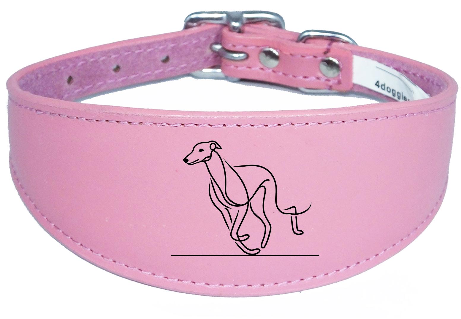 Sighthound Whippet Dog Collar Leather Greyhound with Padded Backing NL 6