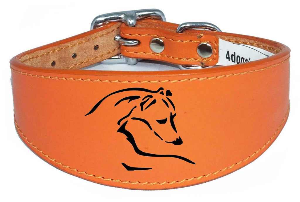 Dog Collar Leather Greyhound Collar Whippet Collar Padded Backing Laser Engraved D12