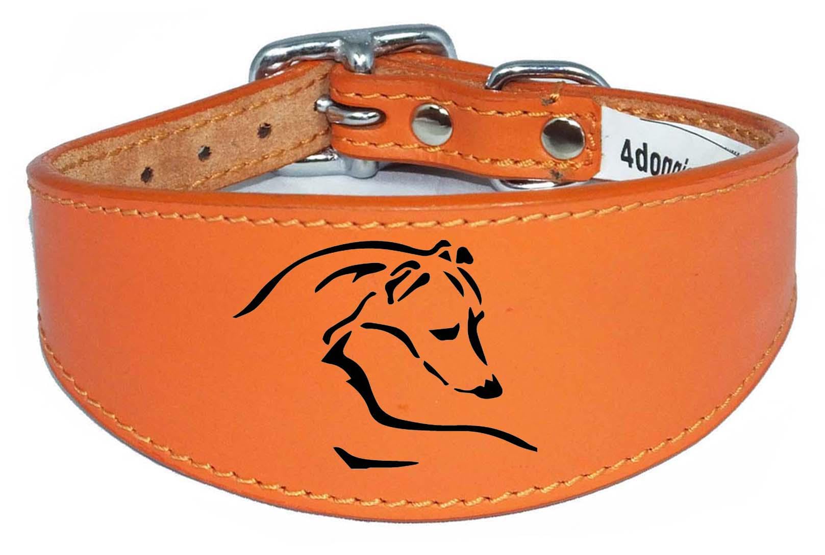 Dog Collar Leather Greyhound Collar Whippet Collar Padded Backing Laser Engraved D12