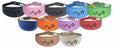 Italian Greyhound Whippet Collar Greyhound Leather Dog Collar Padded Backing Laser Star D2