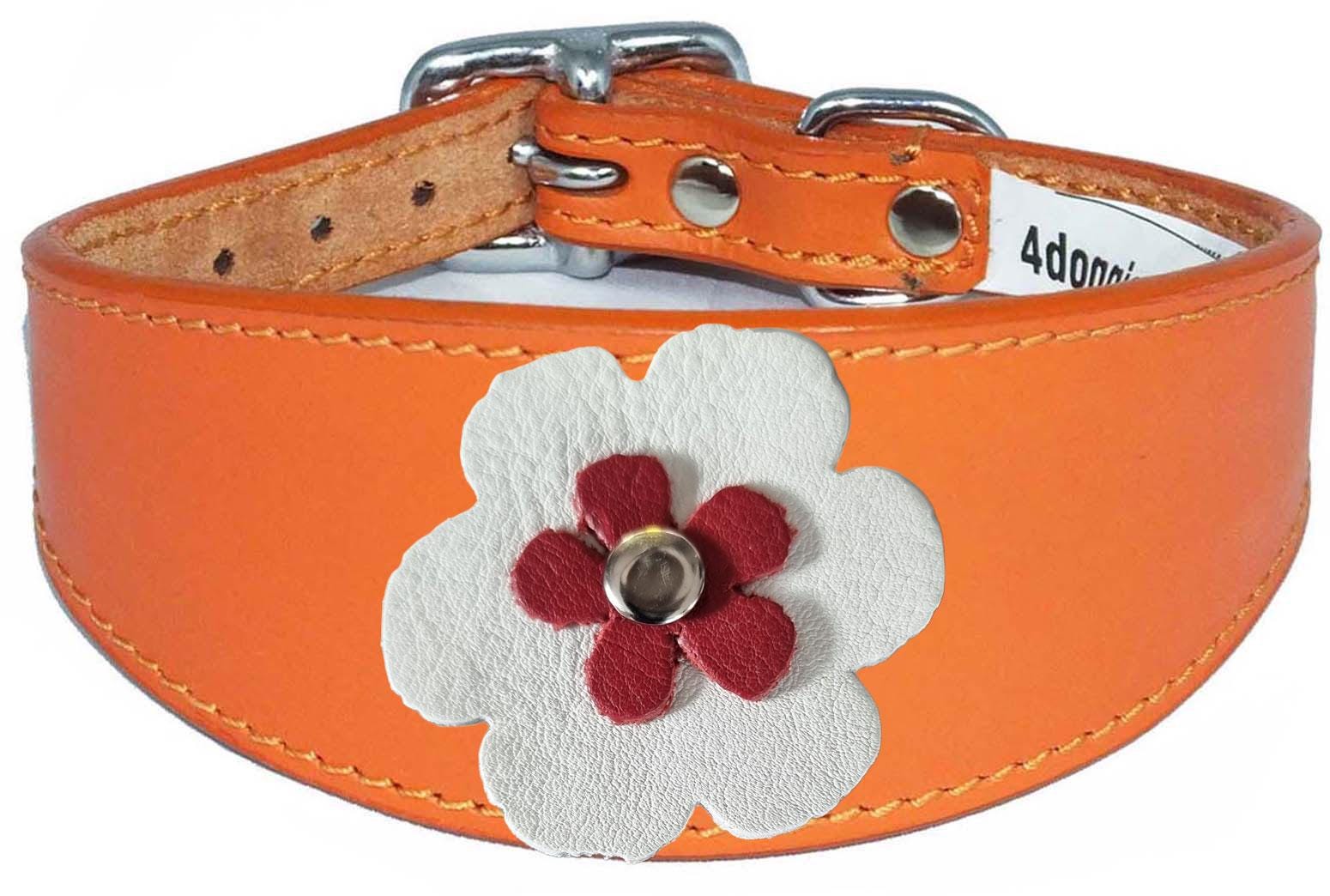 Decorative Flower Design Whippet Greyhound Sighthound Lurcher Leather Collar FD7-4