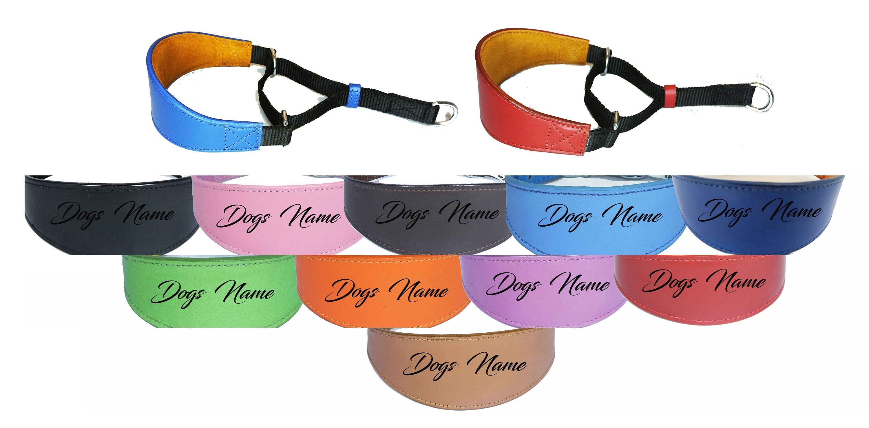 Italian Greyhound Whippet  Greyhound Afghan Saluki Leather Padded Dog Collar Personalized Name Martingale