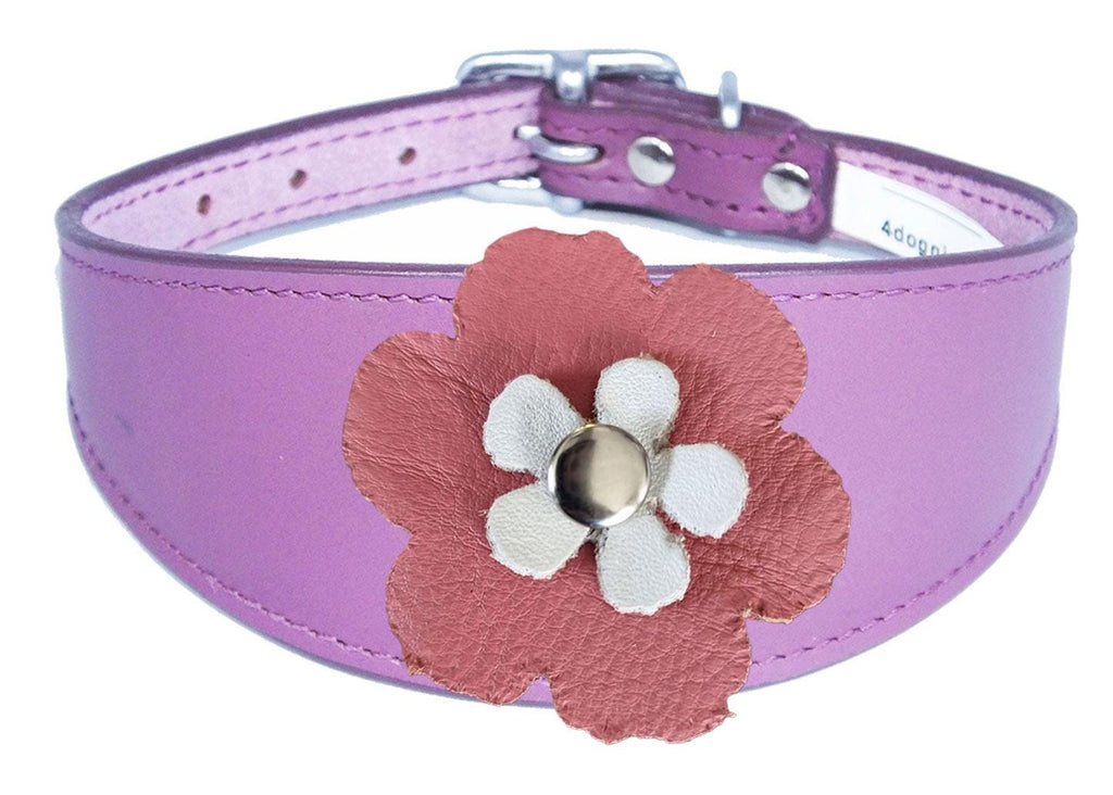Decorative Flower Design Whippet Greyhound Sighthound Lurcher Leather Collar FD6-7
