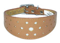 Tan Circle Glitter Design Leather Whippet Collar Greyhound Collar Sight hound Dogs Collar