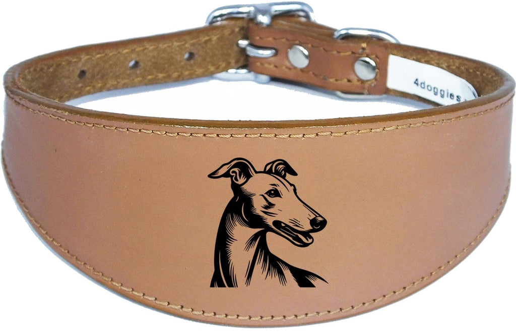 Sighthound Padded Leather Whippet Greyhound Luxury Collar NL 23