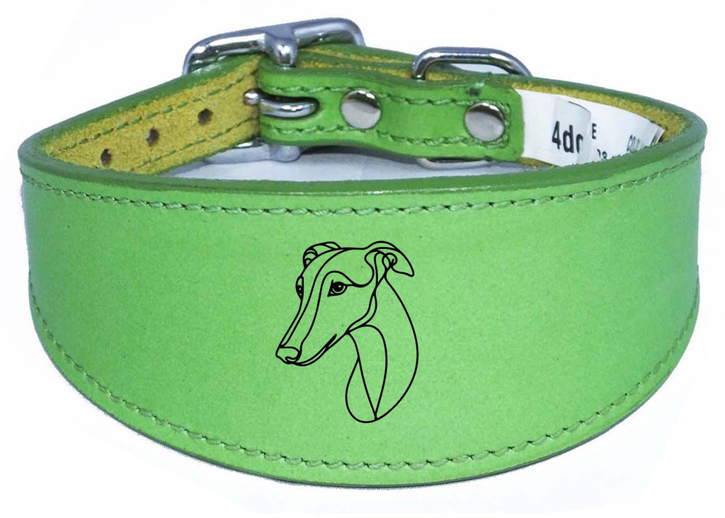Luxury Padded Leather Sighthound Whippet Collar  Handmade in the UK NL 20