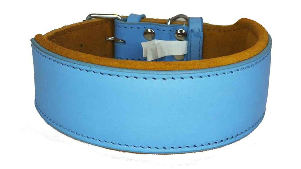 Leather Dog Collar Staffy Staffordshire Bull Terrier Bulldog 6 Sises 9 Colours