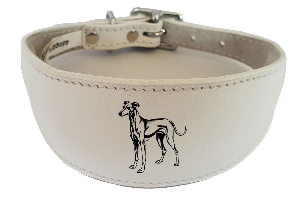 Whippet Greyhound Sighthound Padded Leather Luxury Collar NL 25
