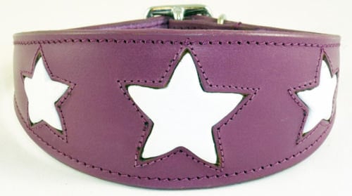 Purple Leather Whippet Collar Greyhound Collar With White Star Design Sighthound Dogs