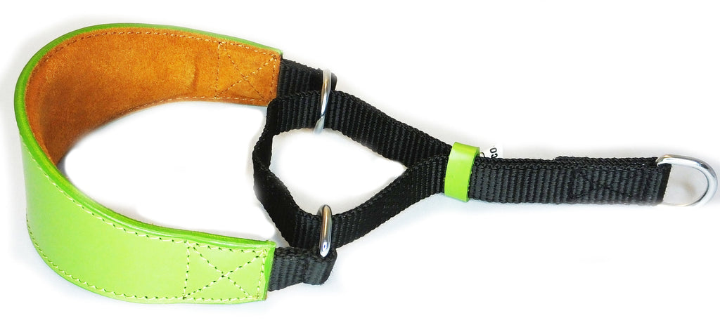 Greyhound Whippet Leather Dog Collar Padded Suede Backing Hound Martingale D16
