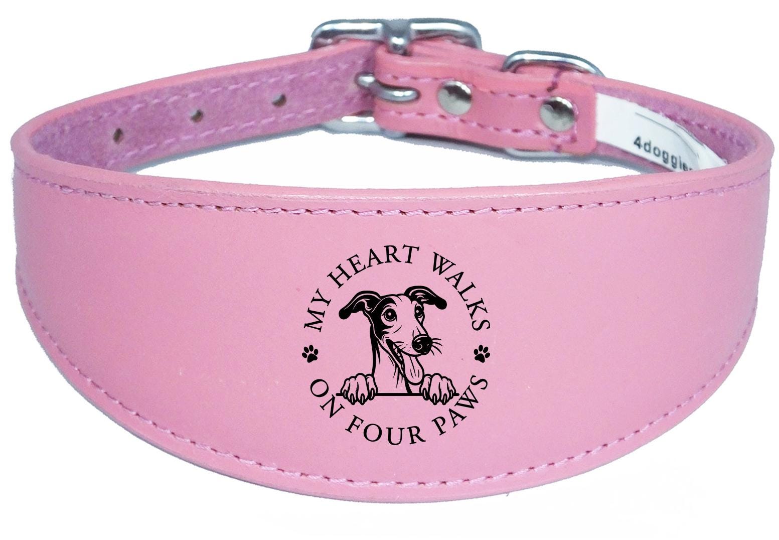 Greyhound Whippet Handmade Wide Leather Collar For Sighthound NL 41