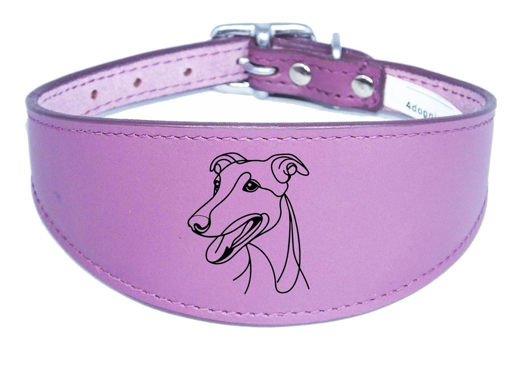 Whippet Dog Collar Leather Sighthound Greyhound with Padded Backing NL 5