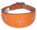 Orange Star Diamante Stitch Design Leather Whippet Collar Greyhound Collar Sight hound Dogs Collar