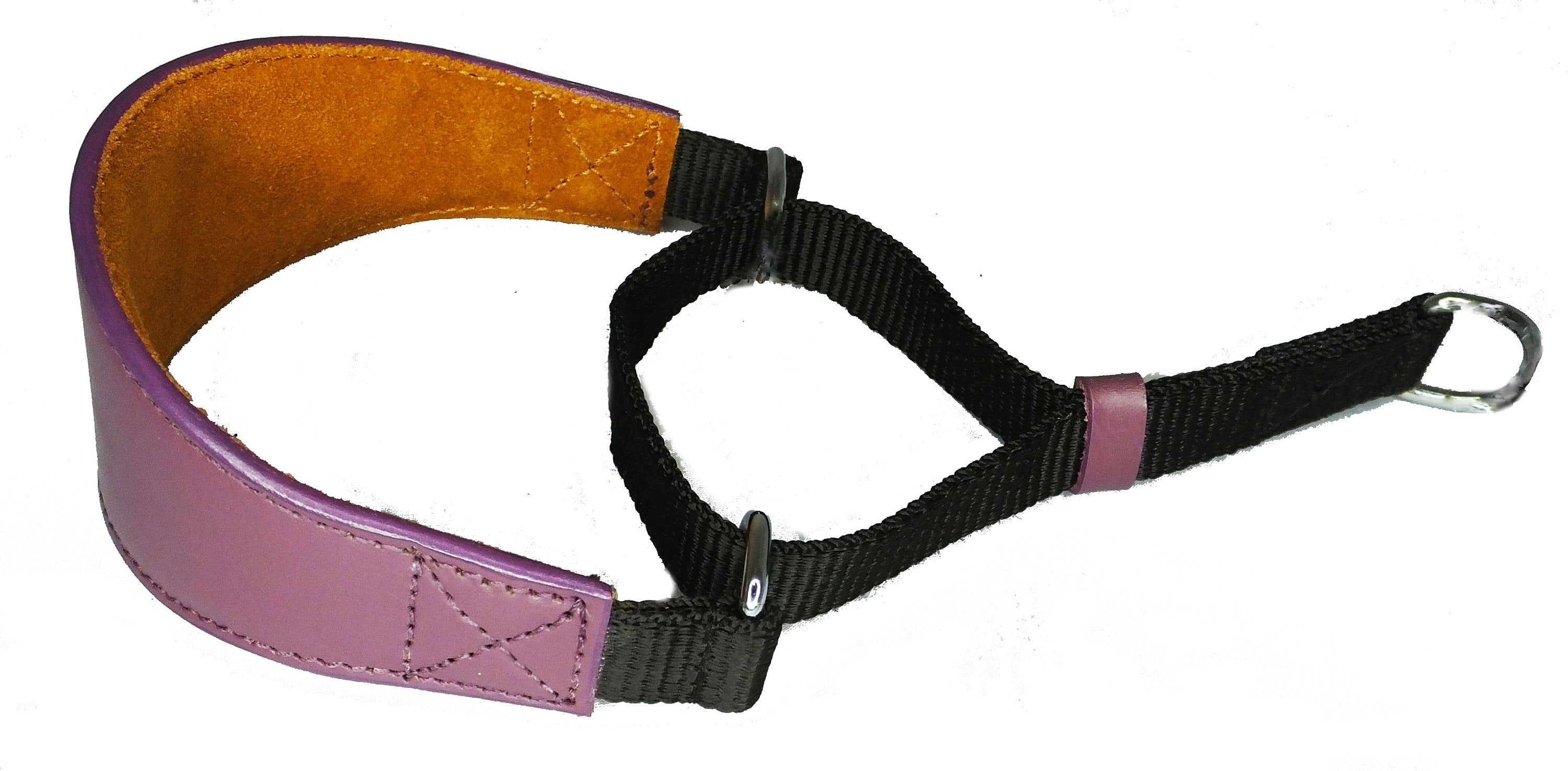 Leather Dog Collar Padded Suede Backing Greyhound Whippet Hound Martingale D1