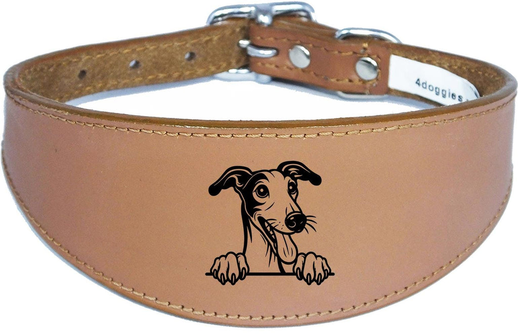 Iggy Greyhound Whippet Sighthound Padded Leather Collar NL 28