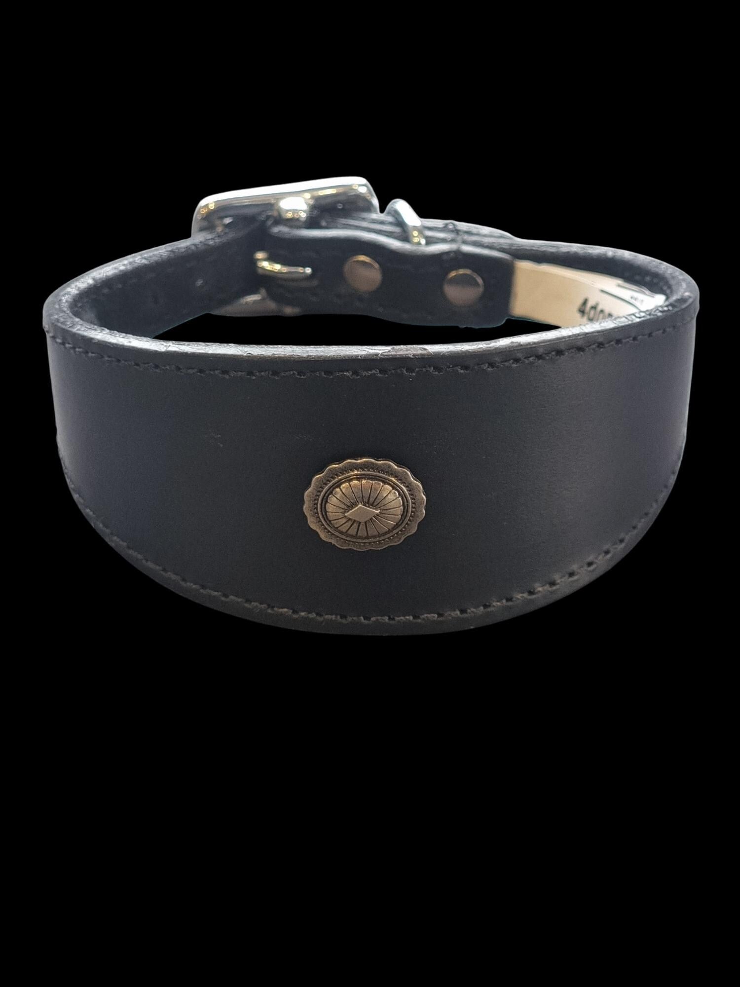 Leather Collar For Whippet Greyhound Lurcher Decorative Stud Design DS 2