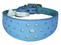 Light Blue Circle Glitter Design Leather Whippet Collar Greyhound Collar Sight hound Dogs Collar