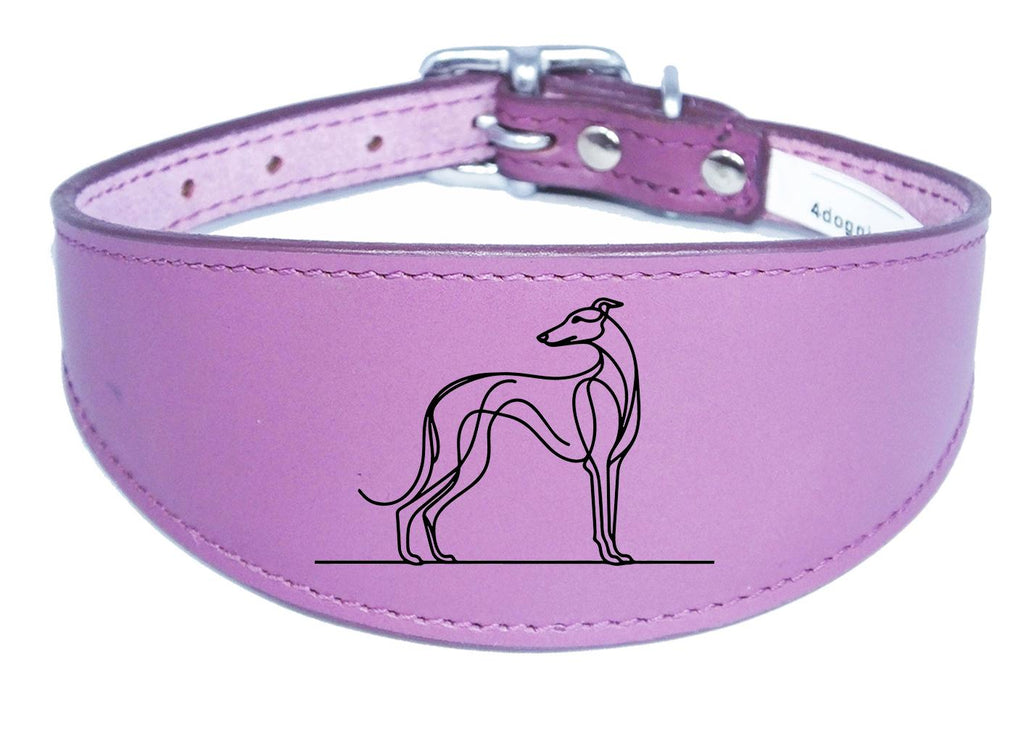 Engraved Leather Greyhound Whippet Dog Collar with Padded Backing NL 2
