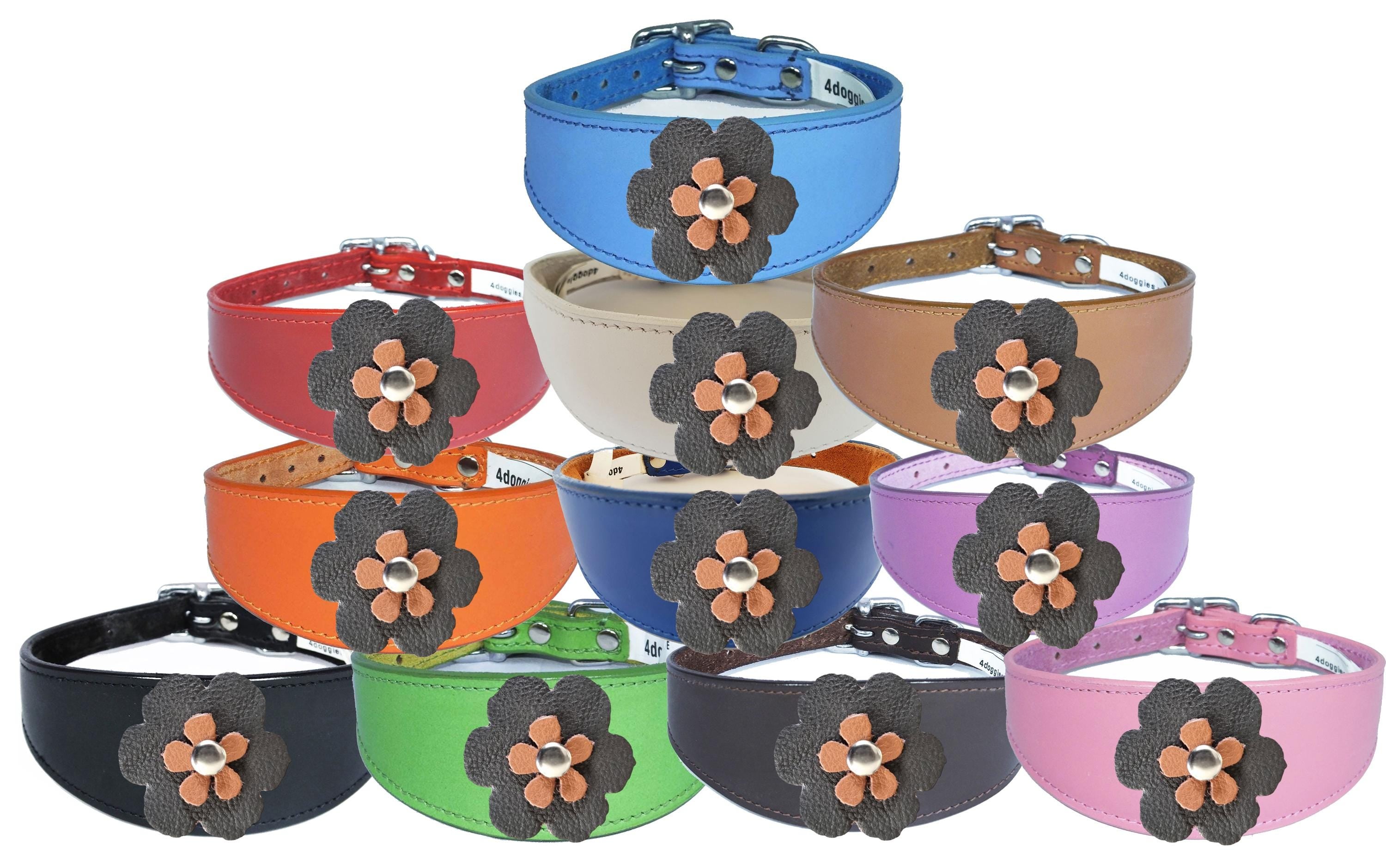 Leather Collar For Sighthound Whippet Greyhound Lurcher Decorative Flower Design FD1-3