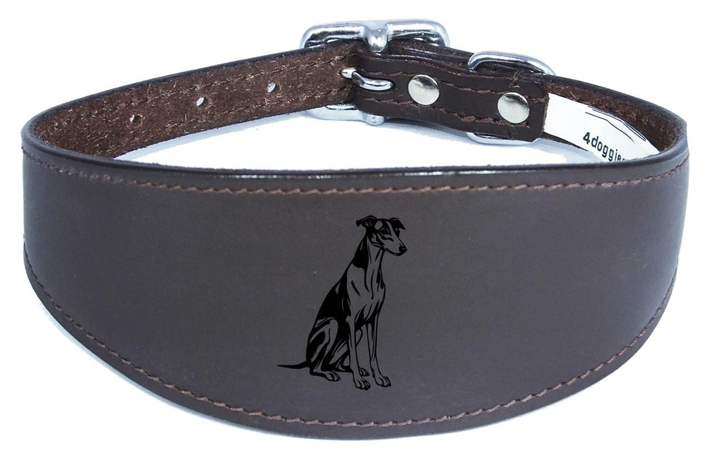 Luxury Whippet Greyhound Sighthound Padded Leather Collar NL 26