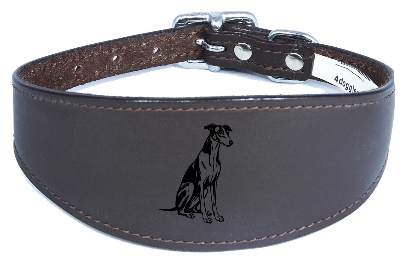 Luxury Whippet Greyhound Sighthound Padded Leather Collar NL 26
