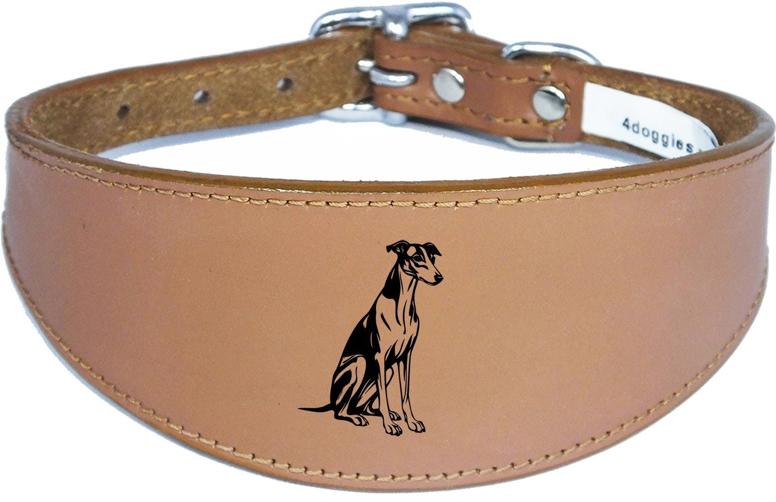 Luxury Whippet Greyhound Sighthound Padded Leather Collar NL 26