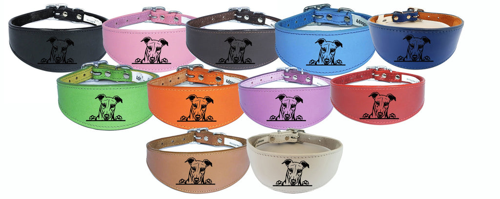 Italian Greyhound Whippet Collar Greyhound Sighthound Leather Padded Backing D44