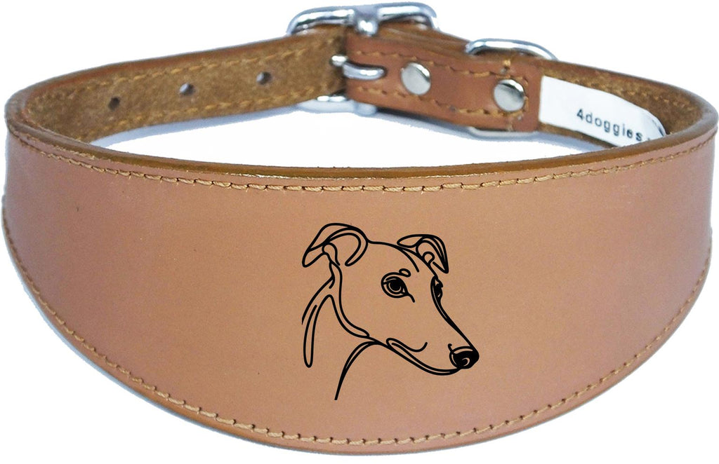 Padded Leather Collar For Greyhound Whippet Sighthound NL 31