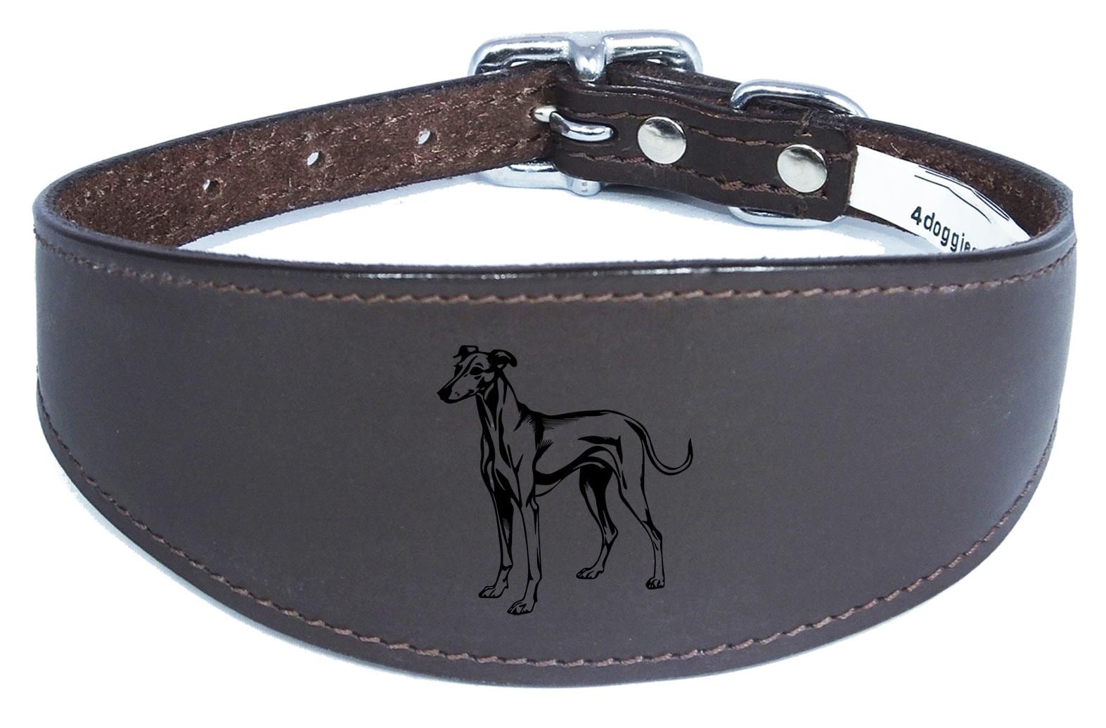 Whippet Greyhound Sighthound Padded Leather Luxury Collar NL 25