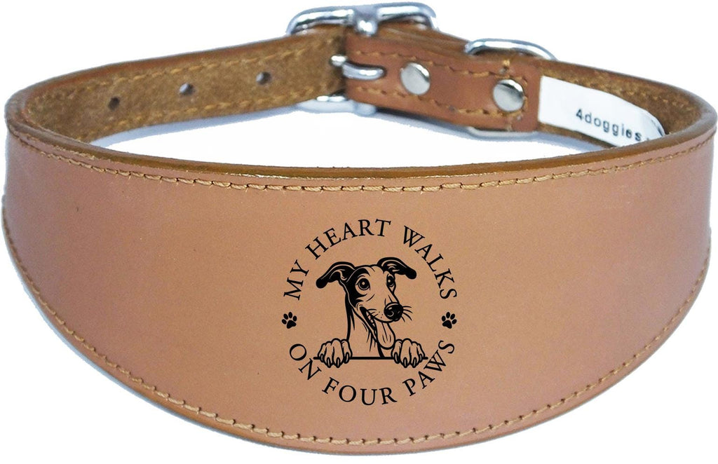 Greyhound Whippet Handmade Wide Leather Collar For Sighthound NL 41