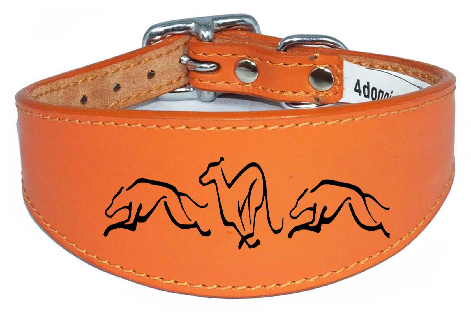 Dog Collar Leather Greyhound Collar Whippet Collar Padded Backing Engraved Running Hound