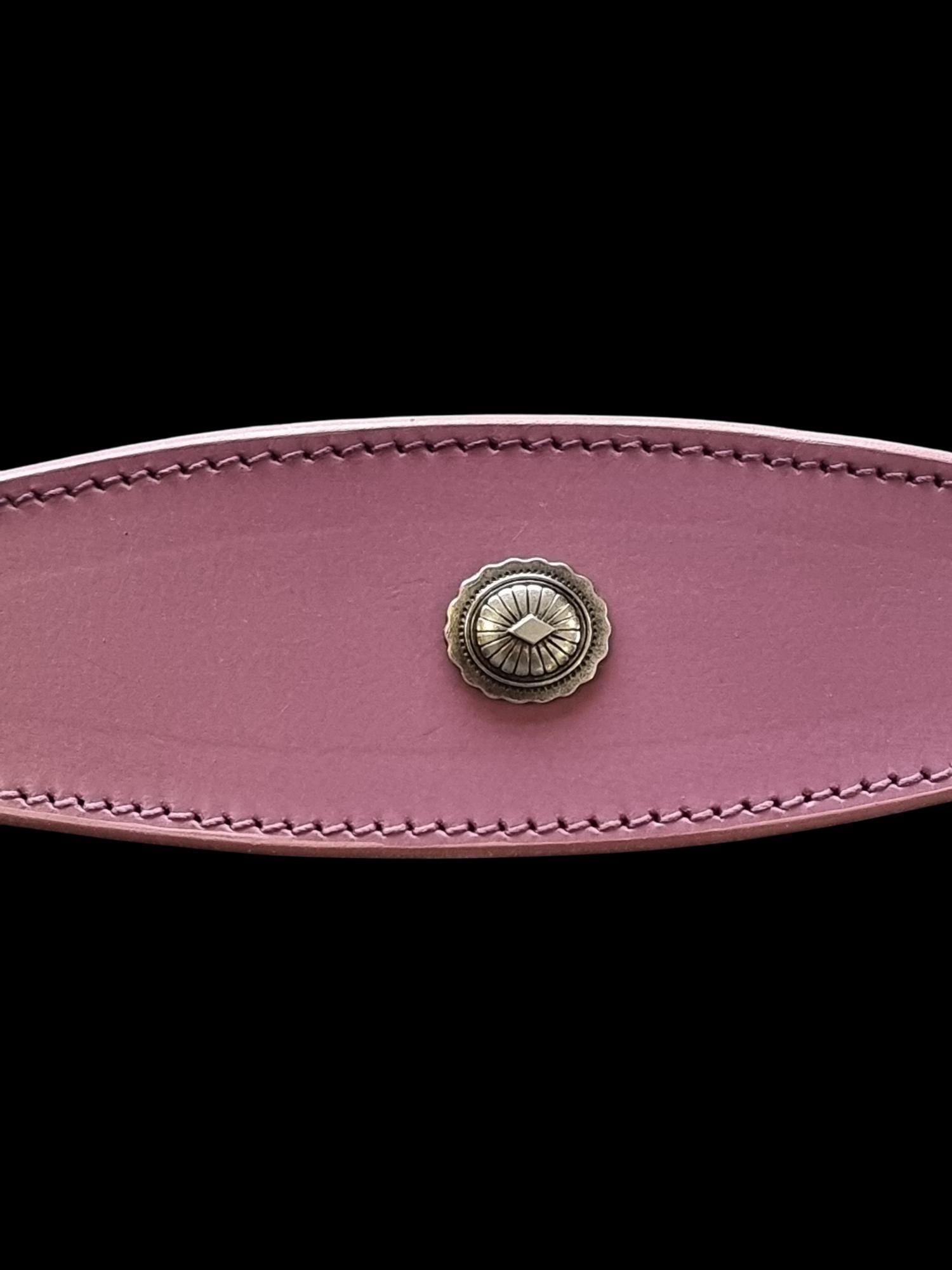 Leather Collar For Whippet Greyhound Lurcher Decorative Stud Design DS 2