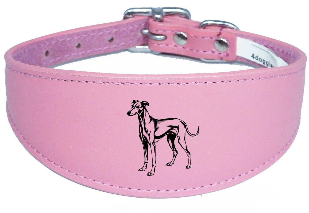 Whippet Greyhound Sighthound Padded Leather Luxury Collar NL 25