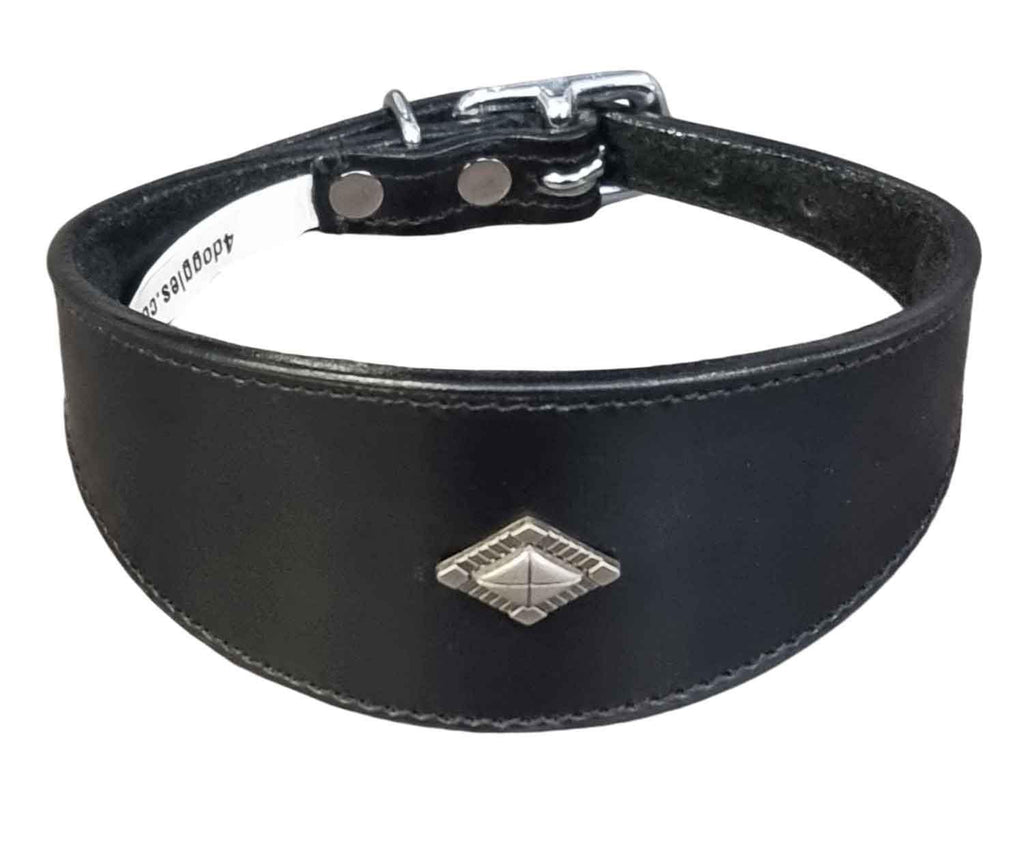 Leather Collar For Whippet Greyhound Lurcher Decorative Stud Design DS 1