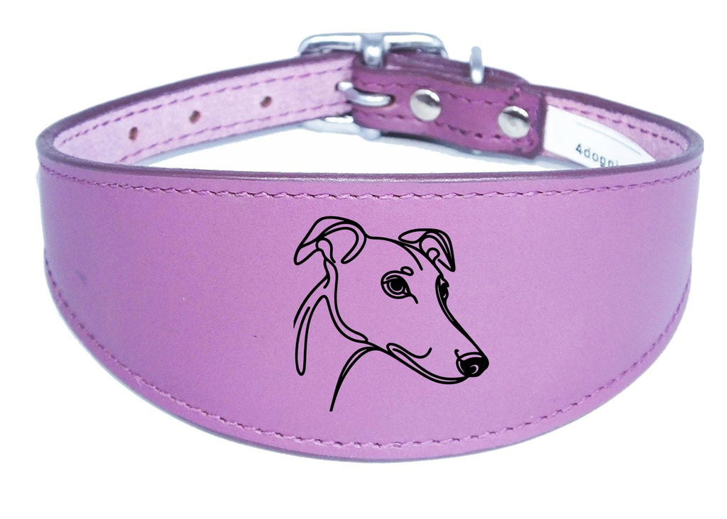 Padded Leather Collar For Greyhound Whippet Sighthound NL 31