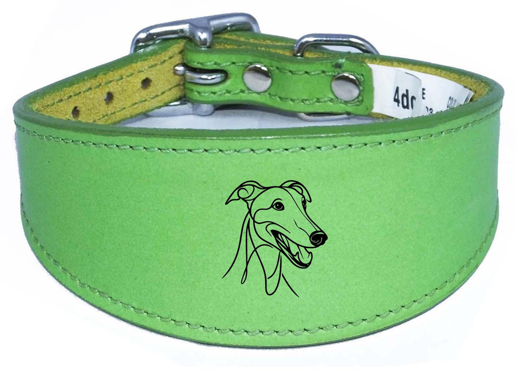 Sighthound Leather Greyhound Whippet Dog Collar with Padded Backing NL 3