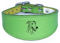 Sighthound Leather Greyhound Whippet Dog Collar with Padded Backing NL 3